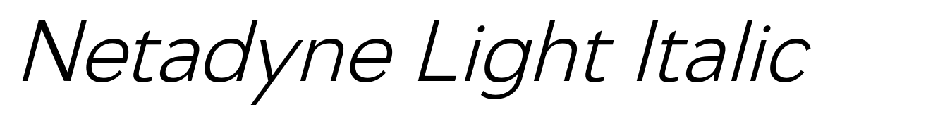 Netadyne Light Italic